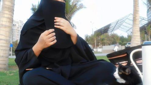 娱乐吃瓜君是哪里人,探寻其神秘身世之谜